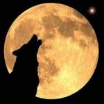 El lobo y la Esclerosis Múltiple